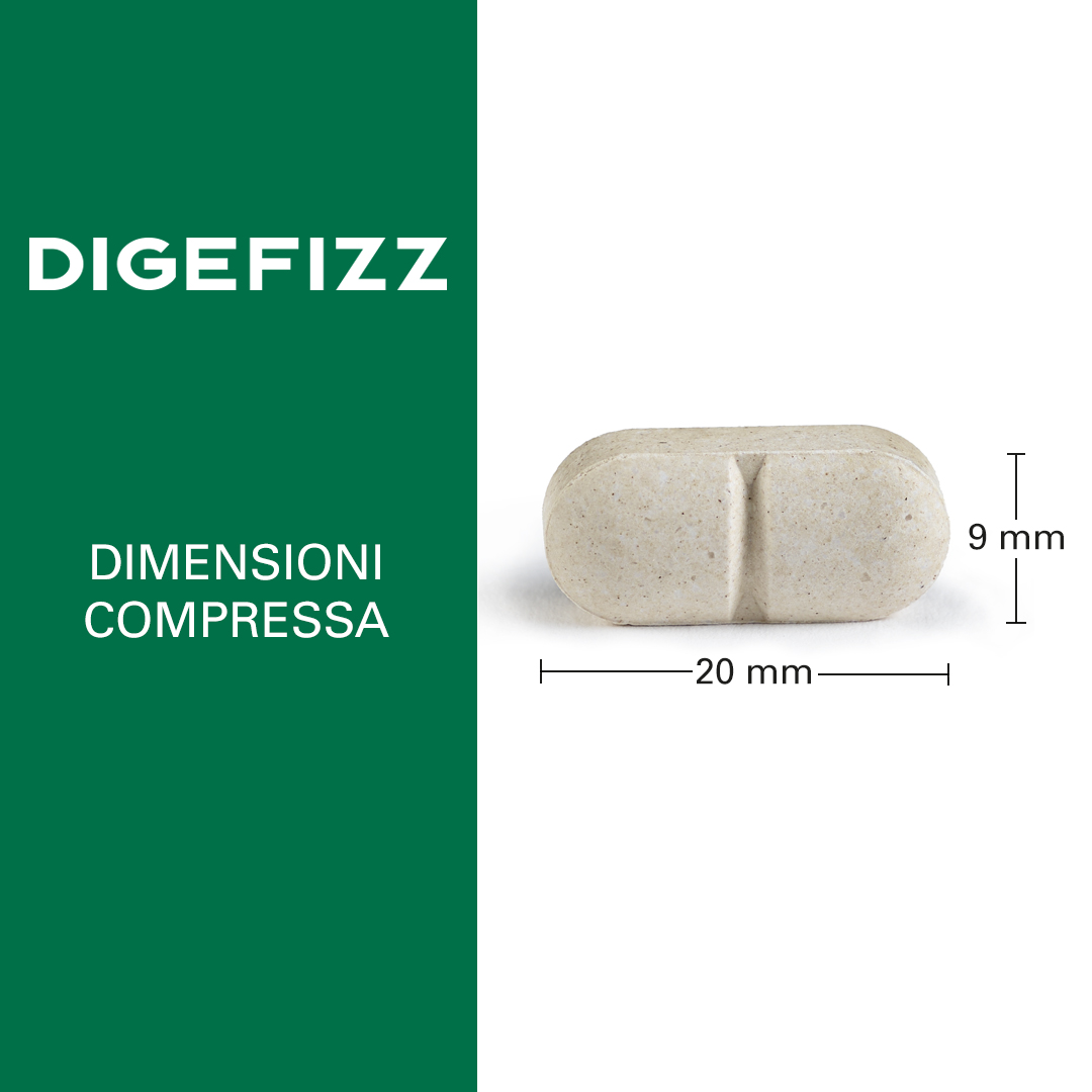 Digefizz - immagine 2