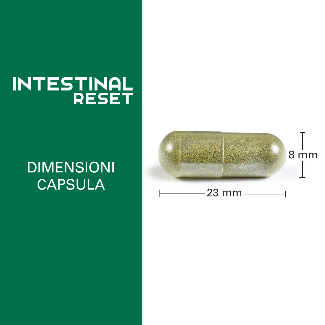 Intestinal Reset - immagine 5